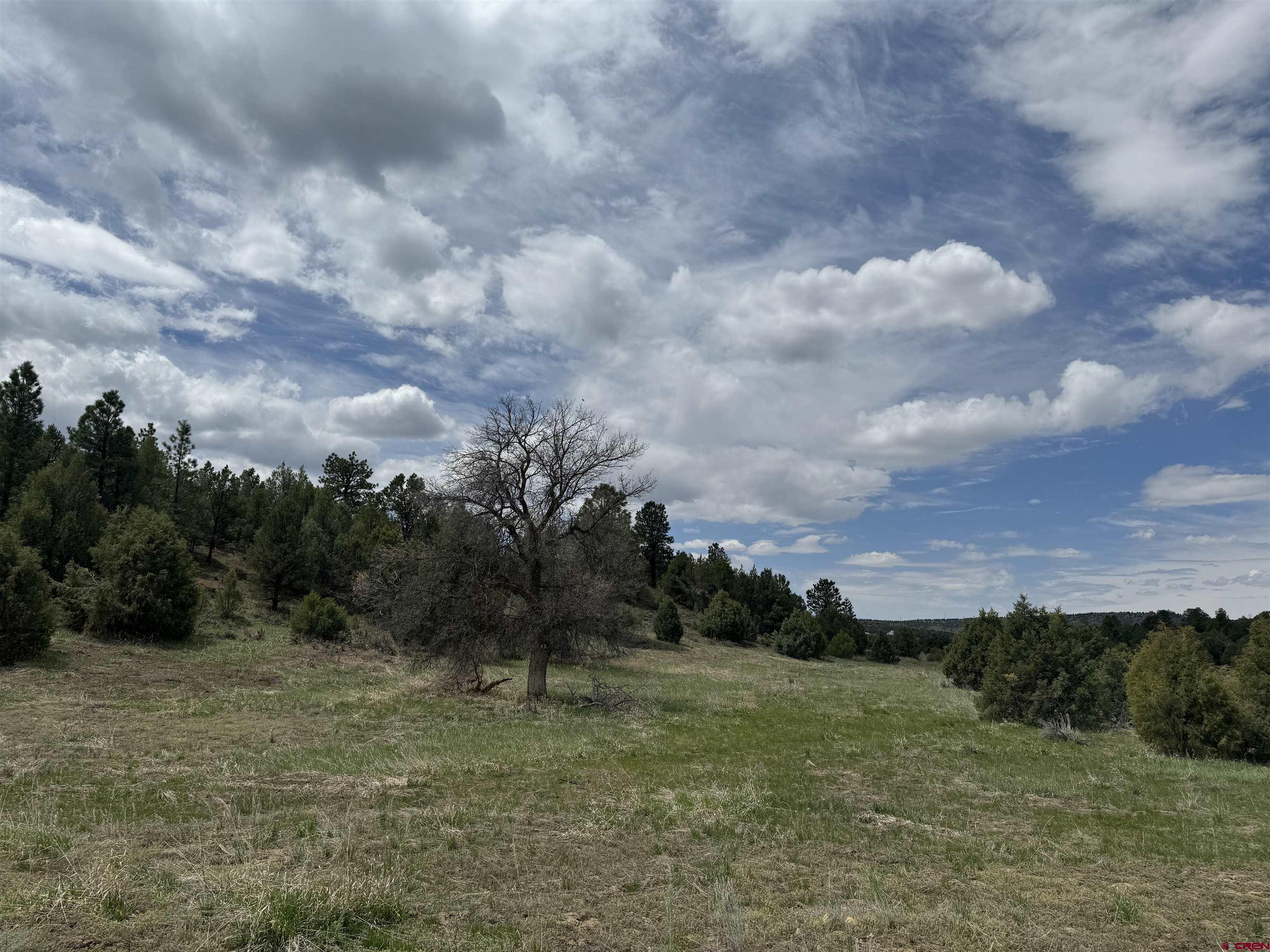 1781 Heritage Road Hesperus, CO 81326 - Photo 11 of 30 a view of a field of grass and trees