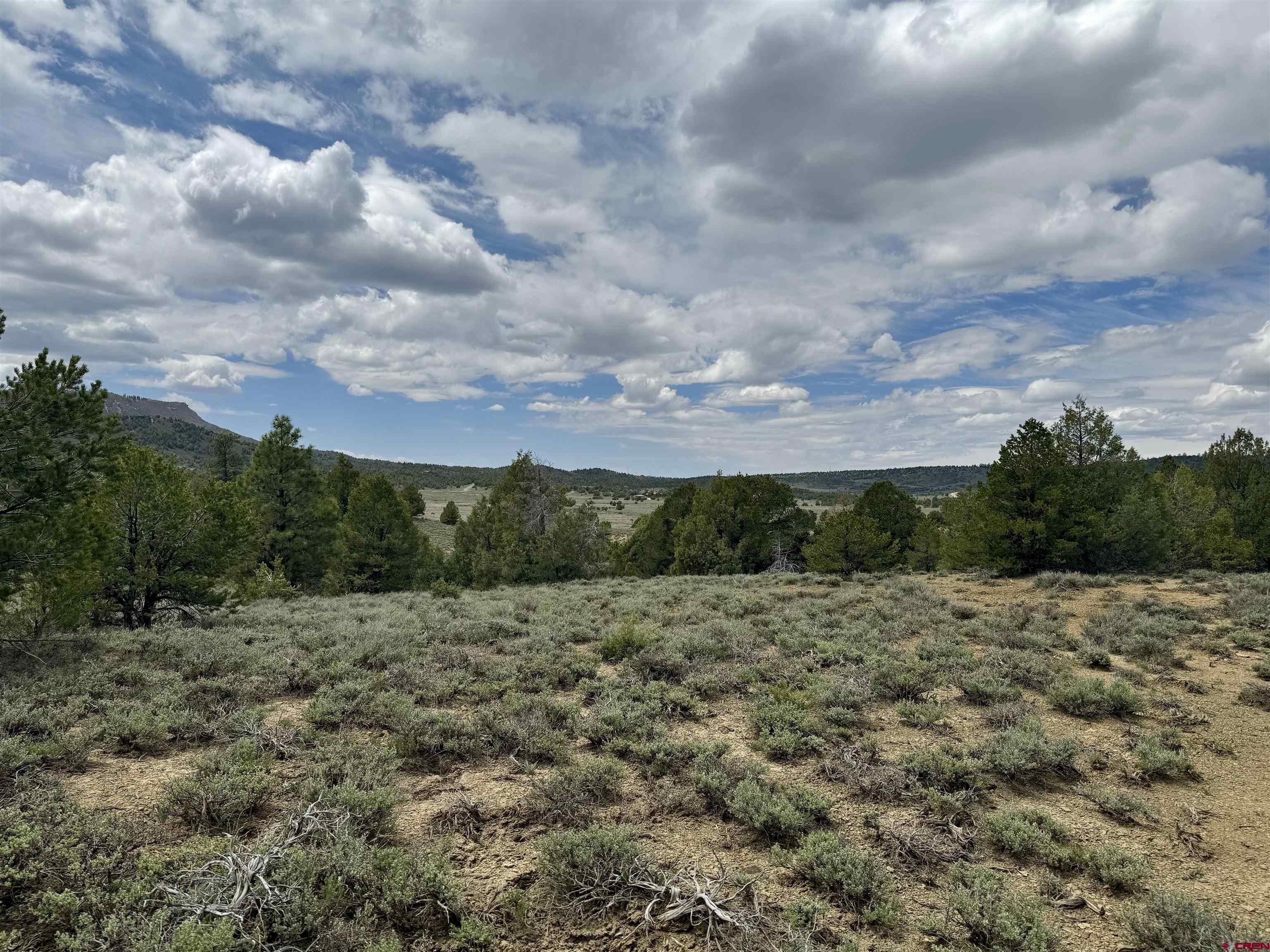 1781 Heritage Road Hesperus, CO 81326 - Photo 12 of 30 a view of a dry yard with lots of trees