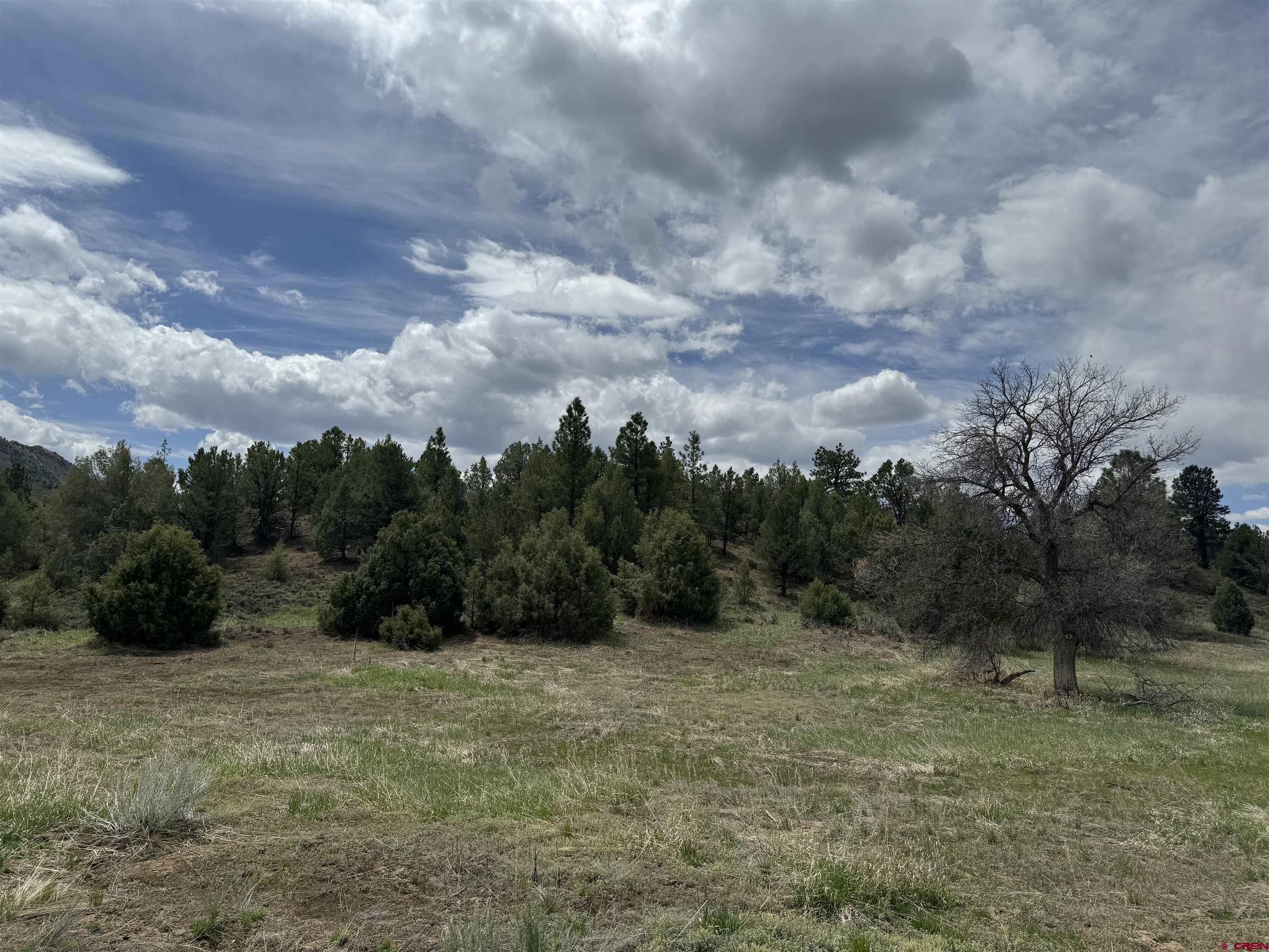 1781 Heritage Road Hesperus, CO 81326 - Photo 13 of 30 a view of a outdoor space