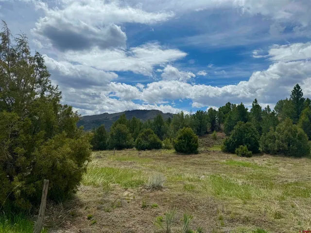view of city and green space