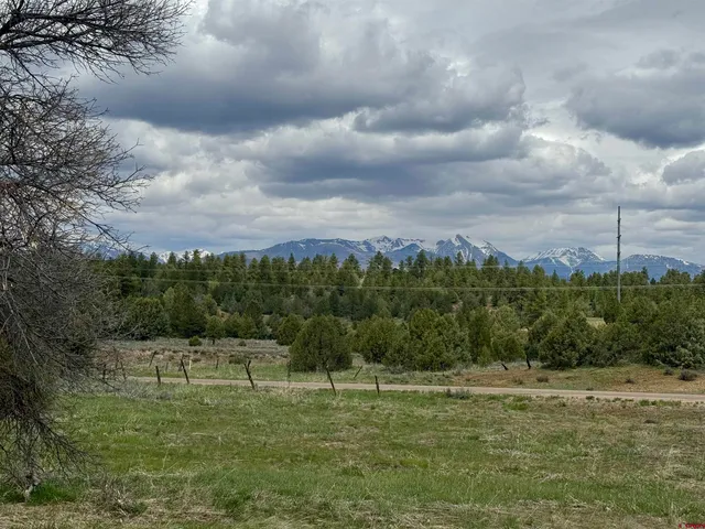 a view of a lake with houses in back