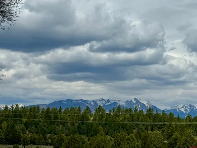 a view of a city with lush green forest