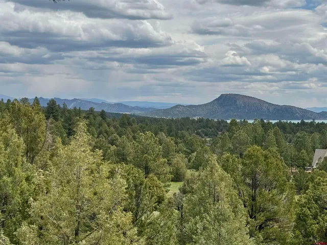 a view of a bunch of trees