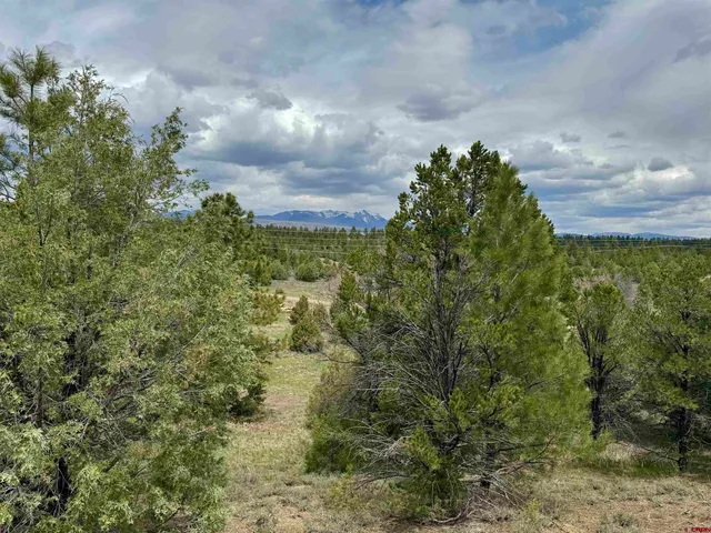 a view of a city with mountain