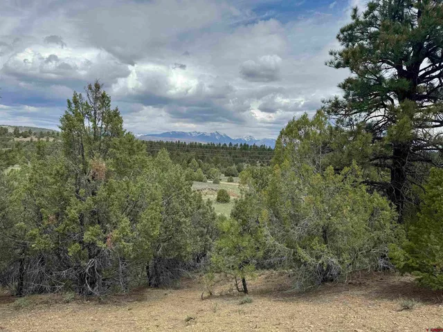 a view of a yard with mountain view