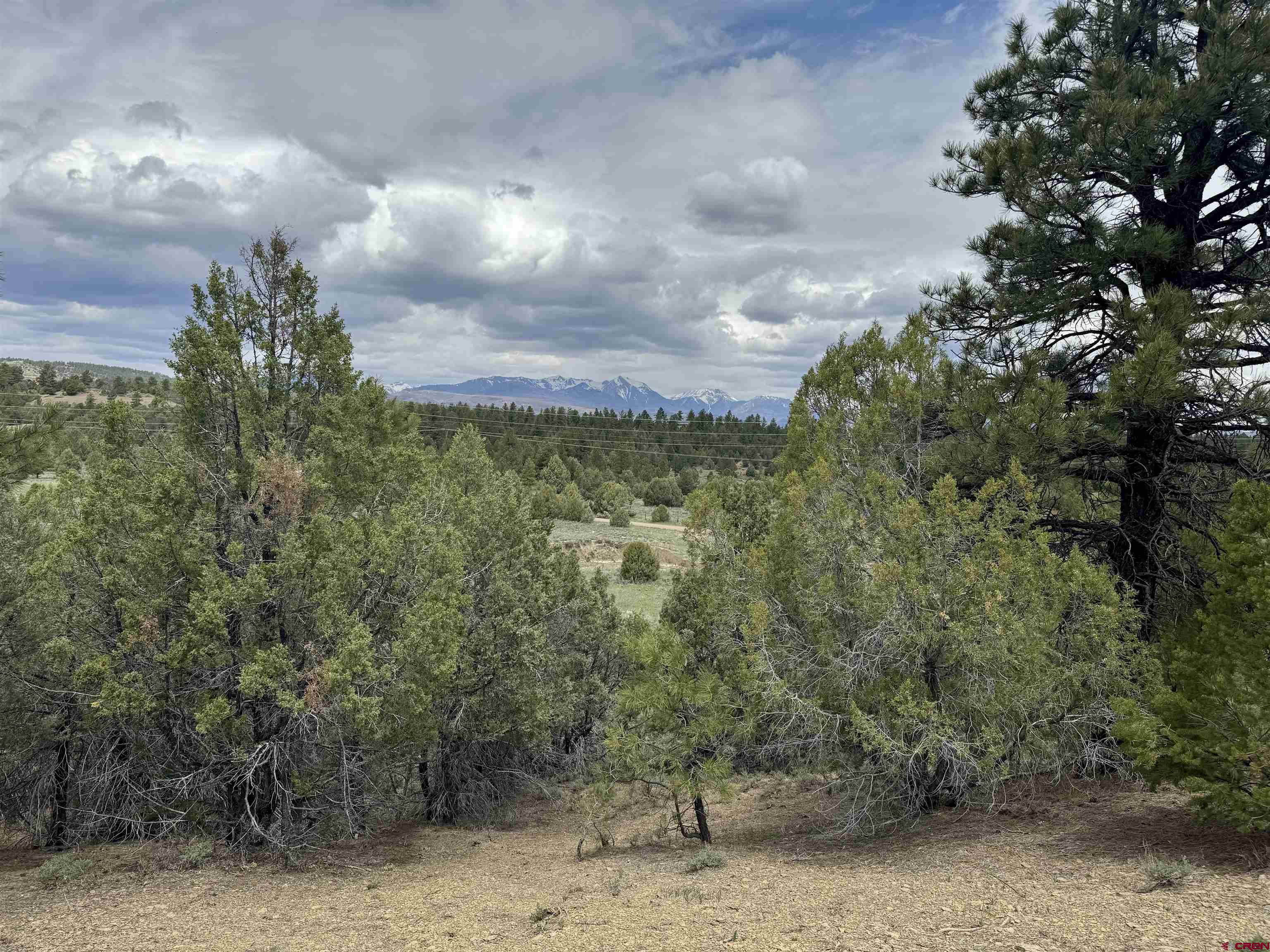 1781 Heritage Road Hesperus, CO 81326 - Photo 21 of 30 a view of a bunch of trees