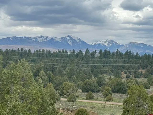 a view of a lake with lots of trees