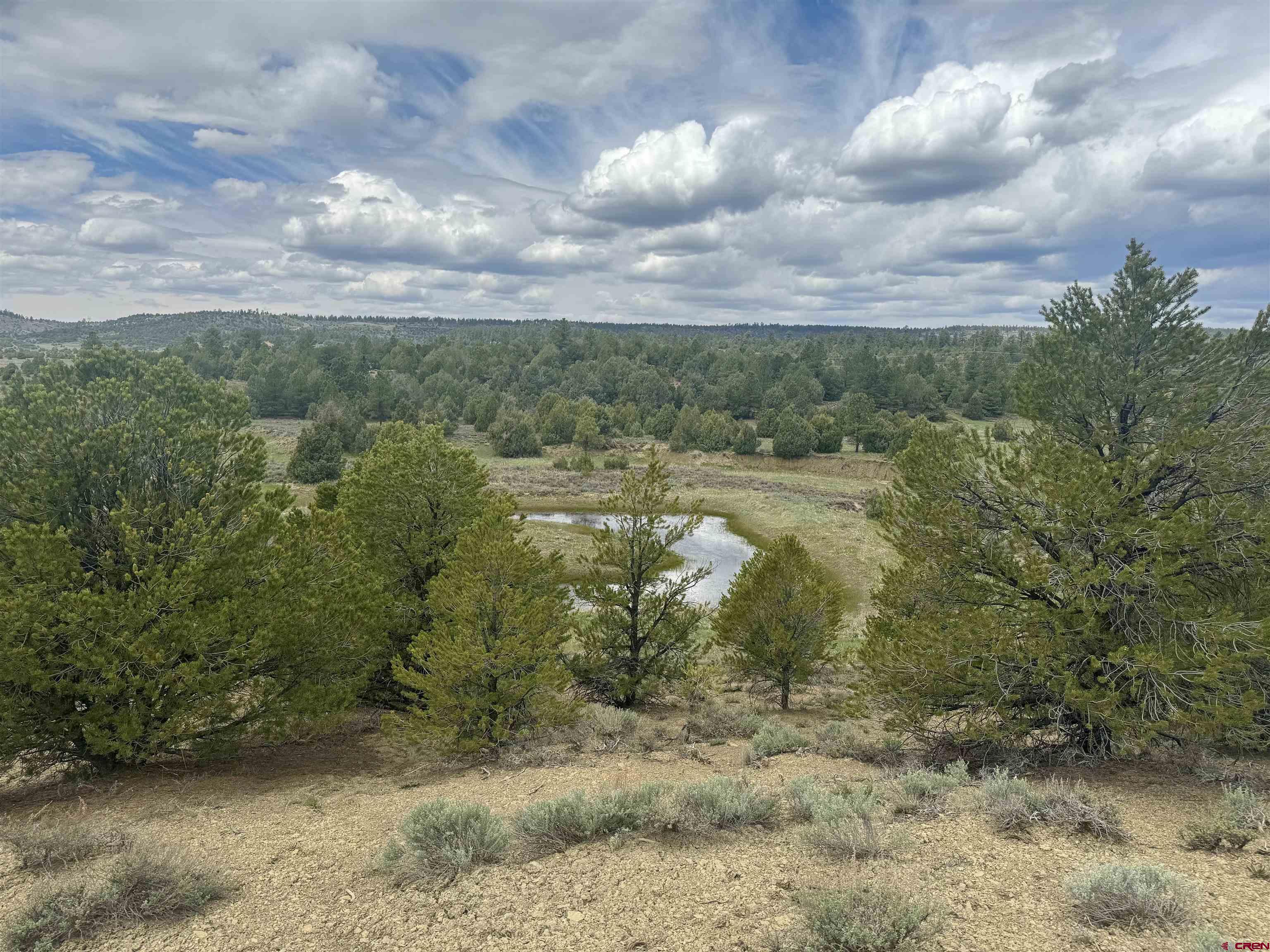 1781 Heritage Road Hesperus, CO 81326 - Photo 23 of 30 a view of a yard with mountain view