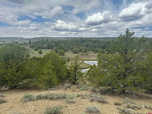 a view of a lake with houses in the back