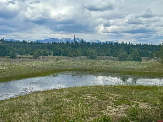 a view of outdoor space with green space