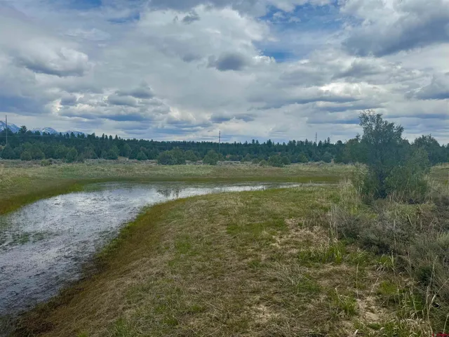 a view of an outdoor space with green field and trees