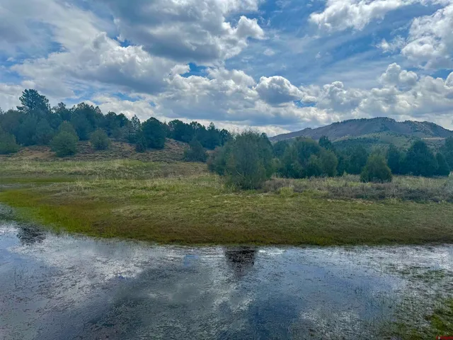 a view of a lush green forest with lots of green space