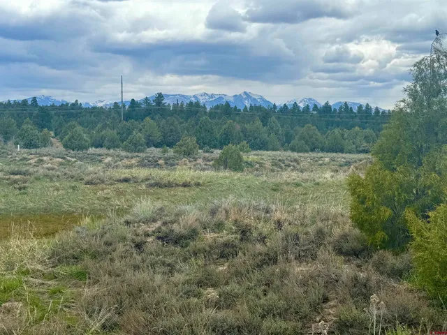 a view of a grassy field with trees in the background