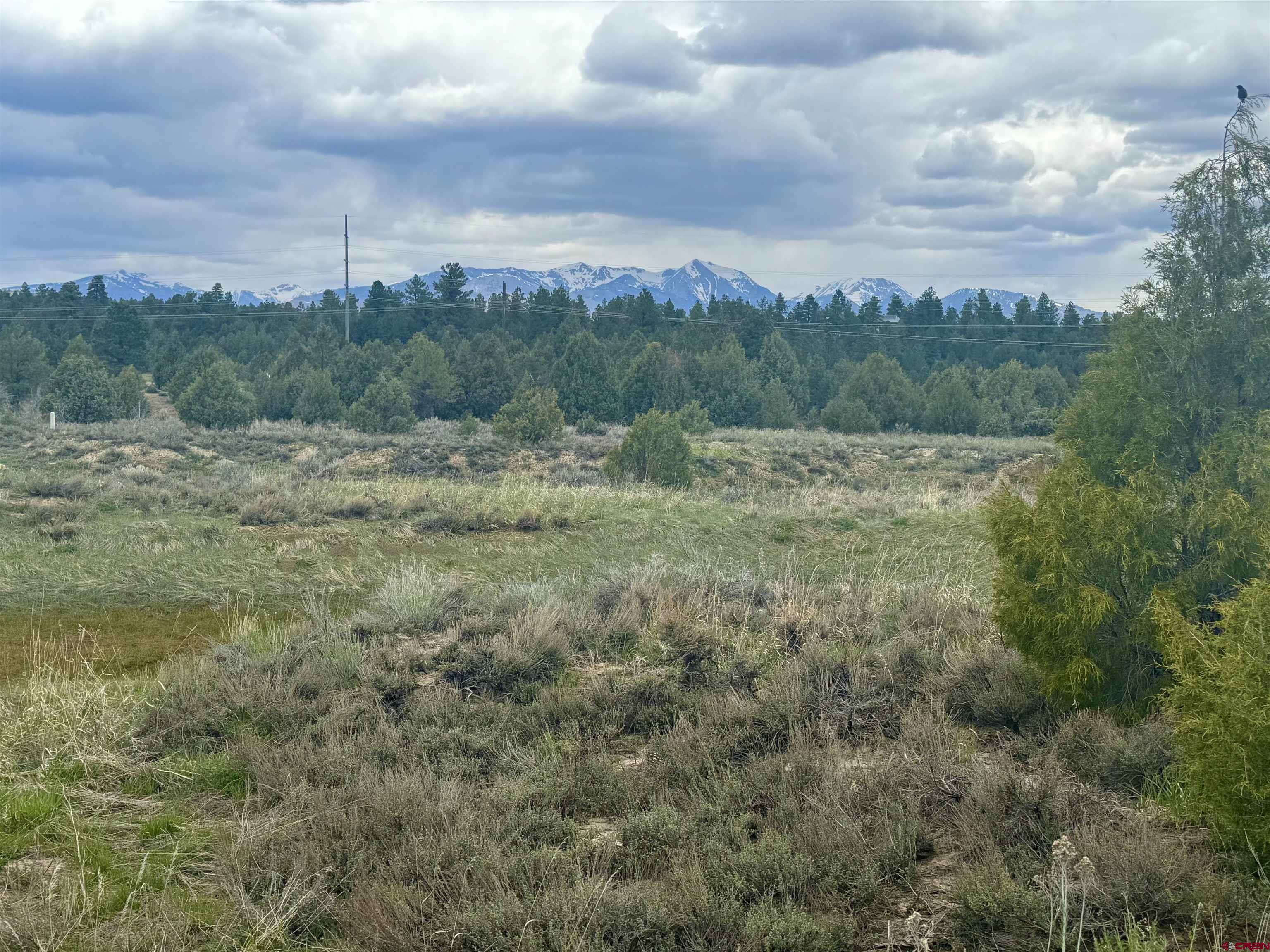 1781 Heritage Road Hesperus, CO 81326 - Photo 28 of 30 a view of an outdoor space with green field and trees