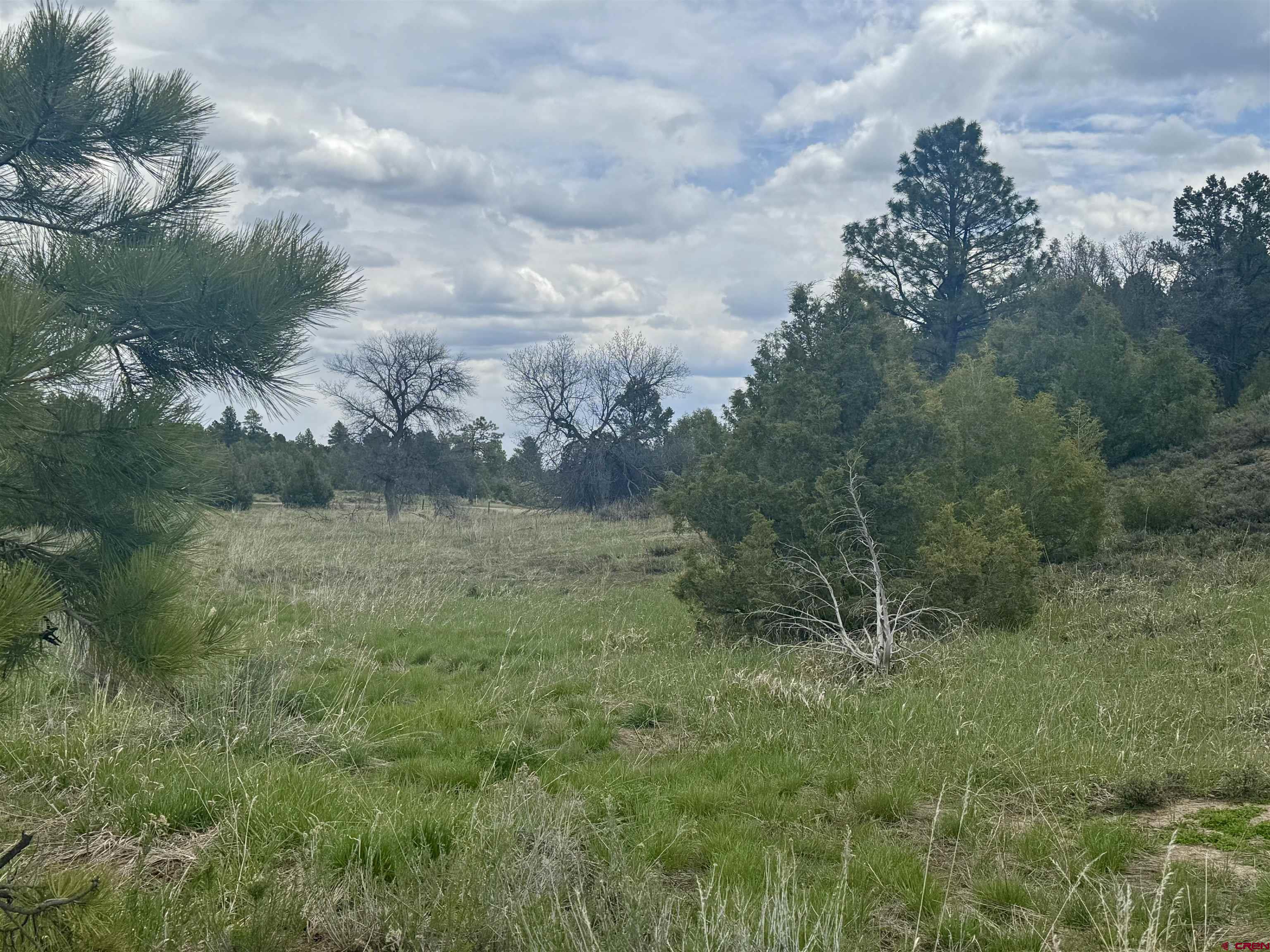 1781 Heritage Road Hesperus, CO 81326 - Photo 29 of 30 a view of a lush green forest with lots of green space