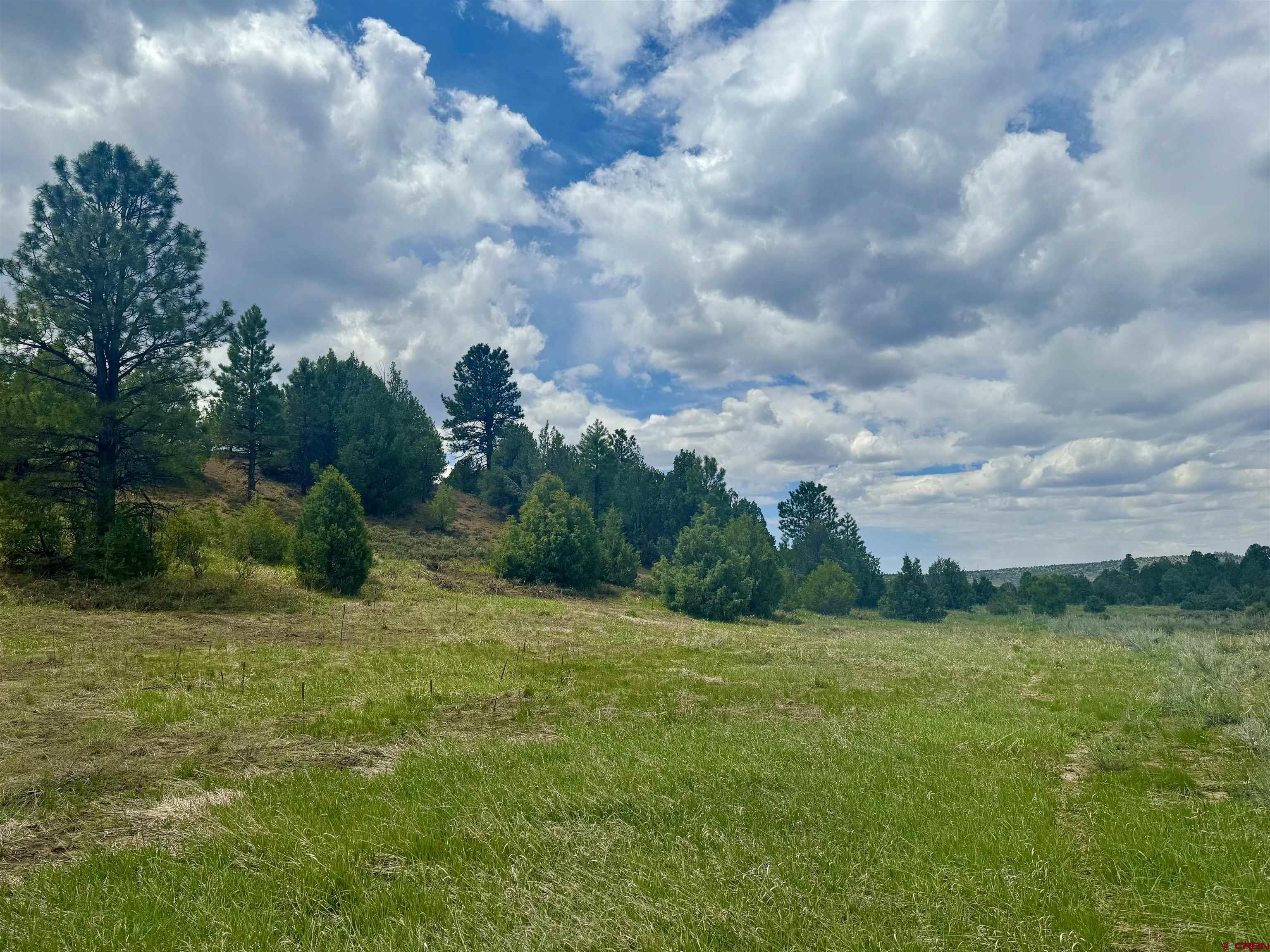 1781 Heritage Road Hesperus, CO 81326 - Photo 30 of 30 a view of a grassy field with trees in the background