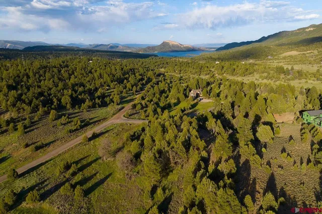 a view of a city with lush green forest