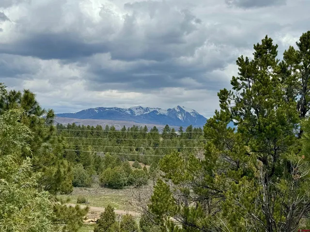 a view of a lake with houses in the back