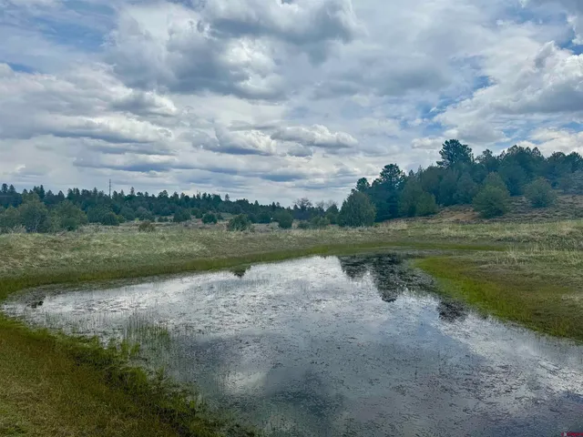 a view of a field of grass and trees