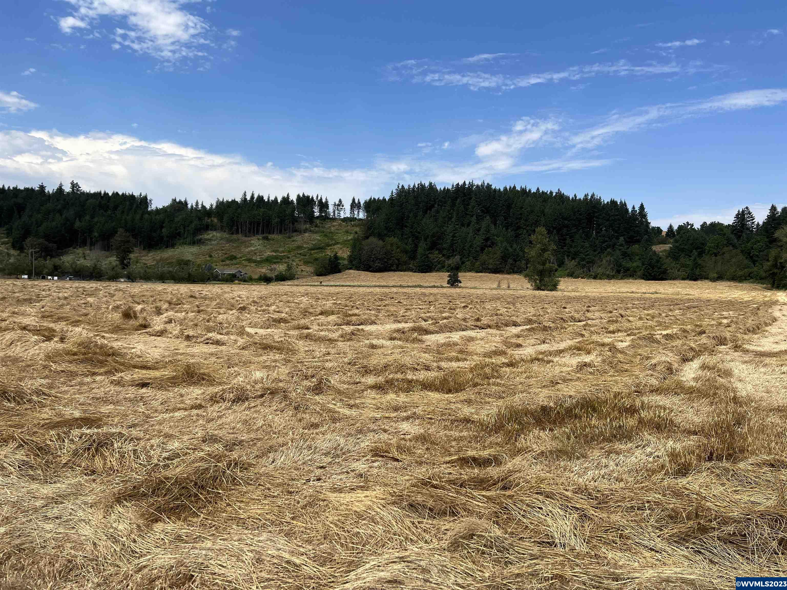 Old Mehama (by To 15700) Road Stayton, OR 97383 - Photo 7 of 8