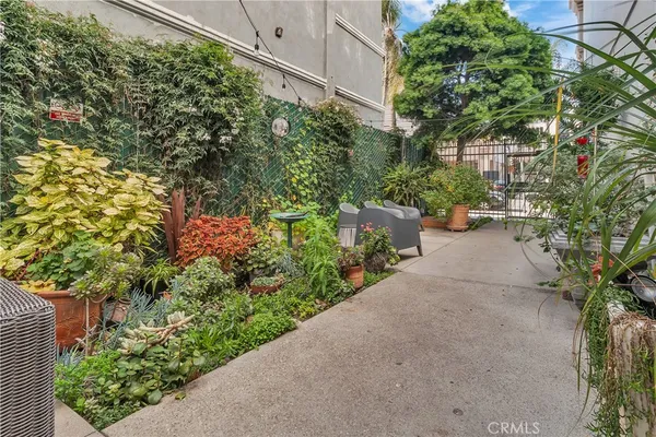 a view of a garden with plants