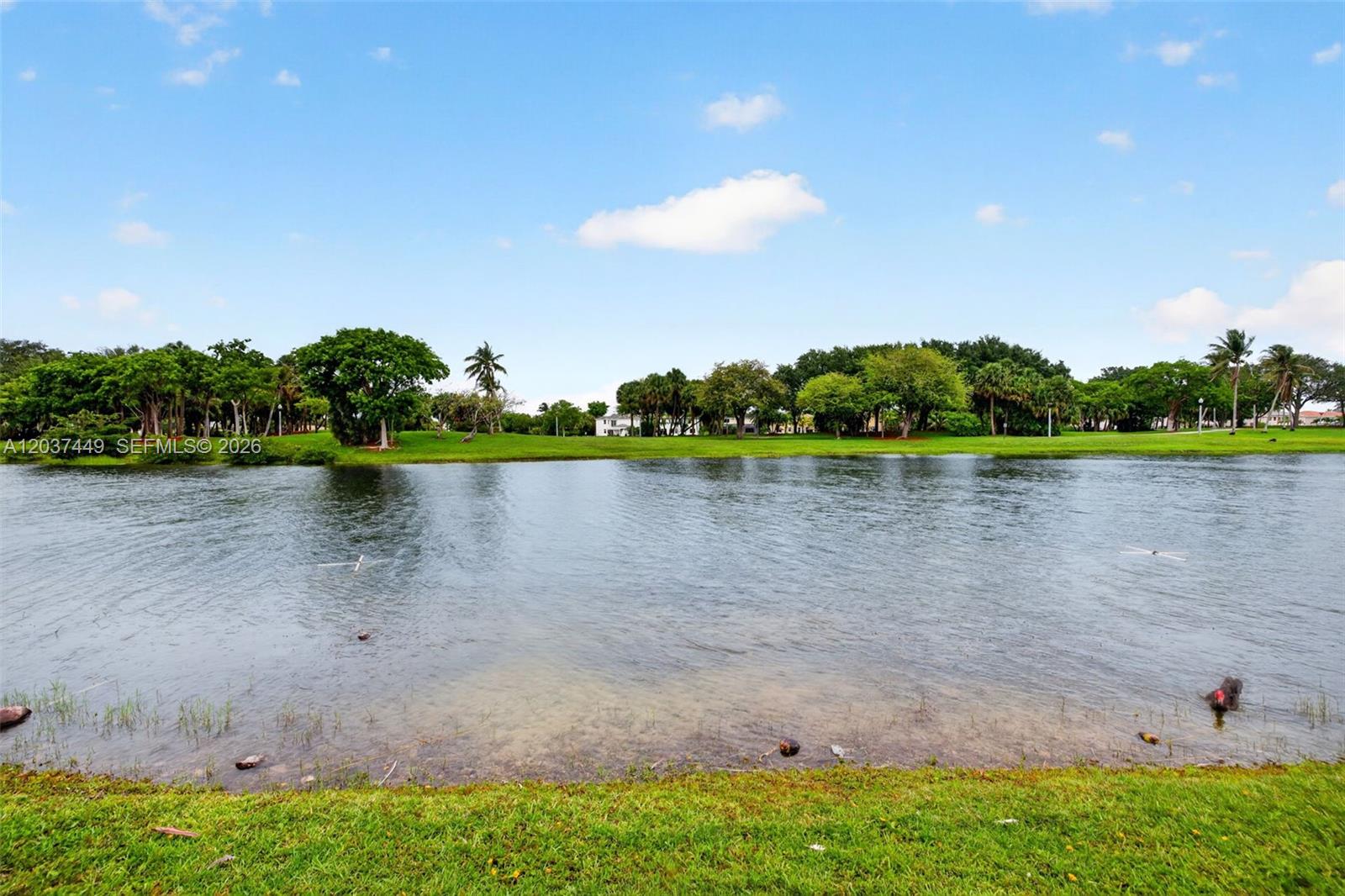 17488 Southwest 28th Court Miramar, FL 33029 - Photo 42 of 50 a view of a lake