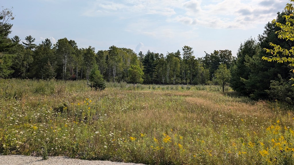 Lot 6 Wandering Down Road Fish Creek, WI 54212 - Photo 14 of 21