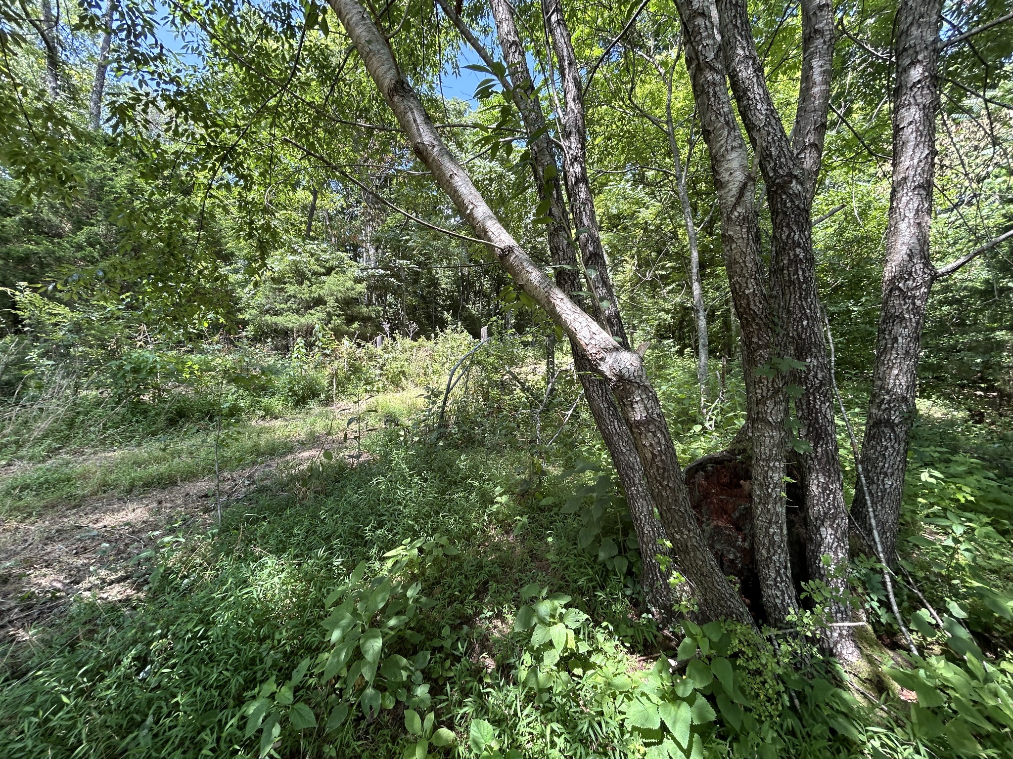 1 New Hope Cemetery Road Pulaski, TN 38478 - Photo 2 of 21