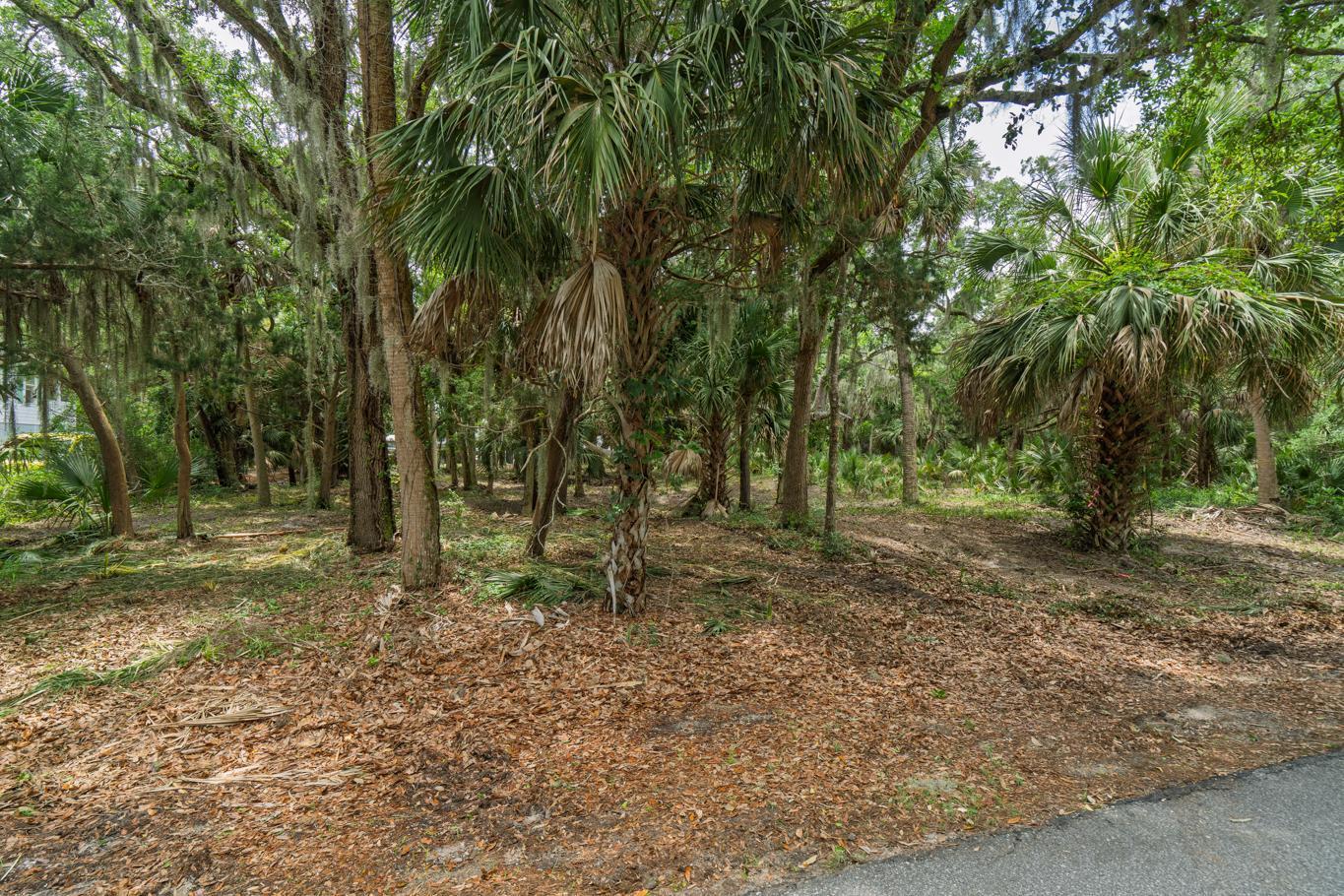 3322 Myrtle Street Edisto Island, SC 29438 - Photo 2 of 26