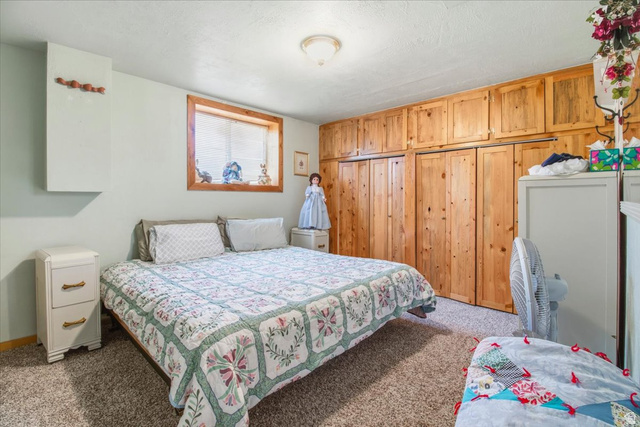811 East Canyon Road Mayfield, UT 84643 - Photo 27 of 57 Carpeted room featuring a built-in wood-finish storage system with upper cabinetry and closet doors