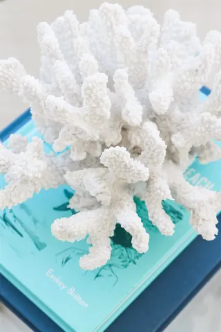 $1,000,000 | 9 Bermuda Run Way, St. Augustine, FL 32080