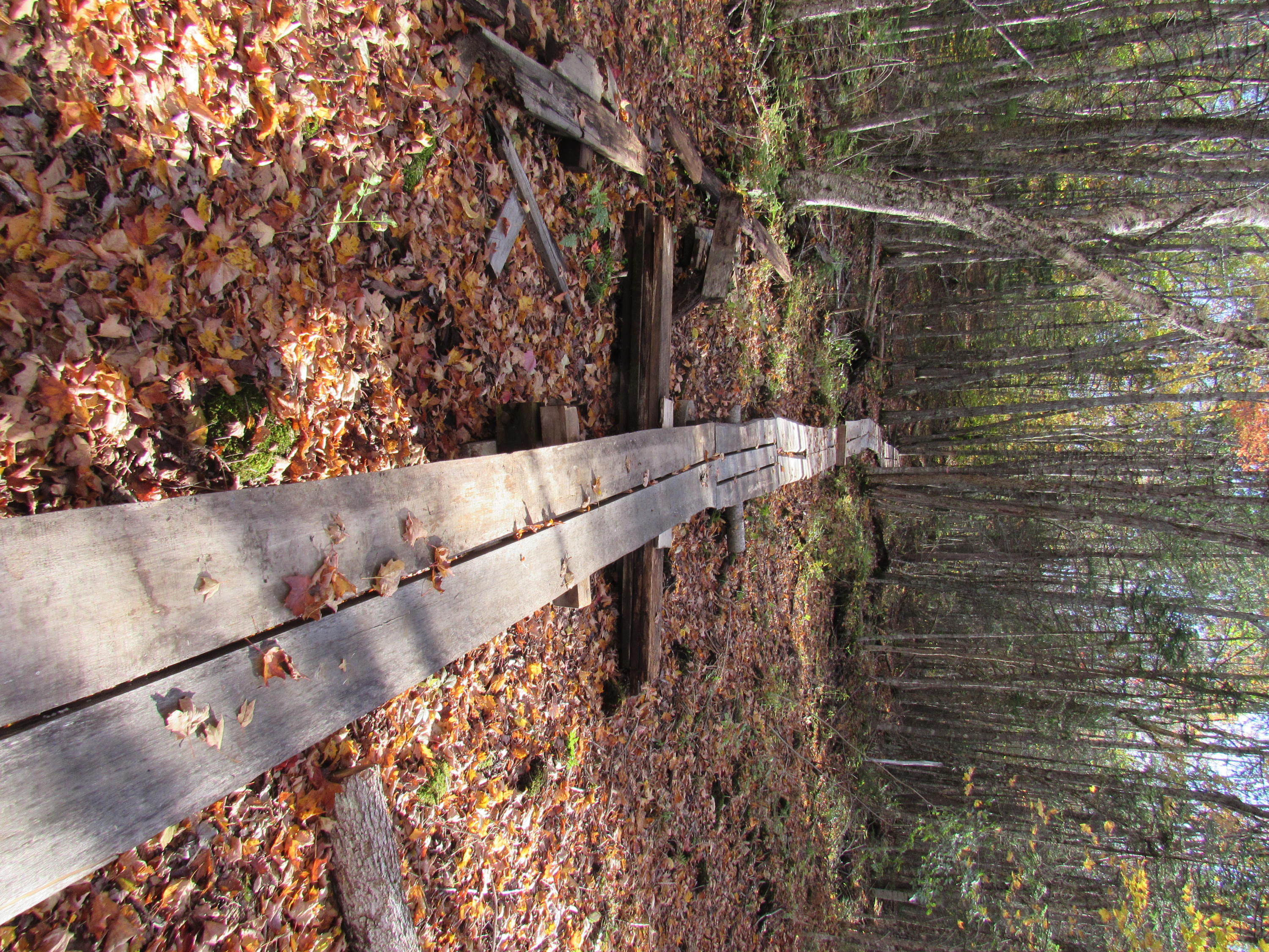 146 Smithton Road Freedom, ME 04941 - Photo 25 of 25 Boardwalk to some awesome woods!