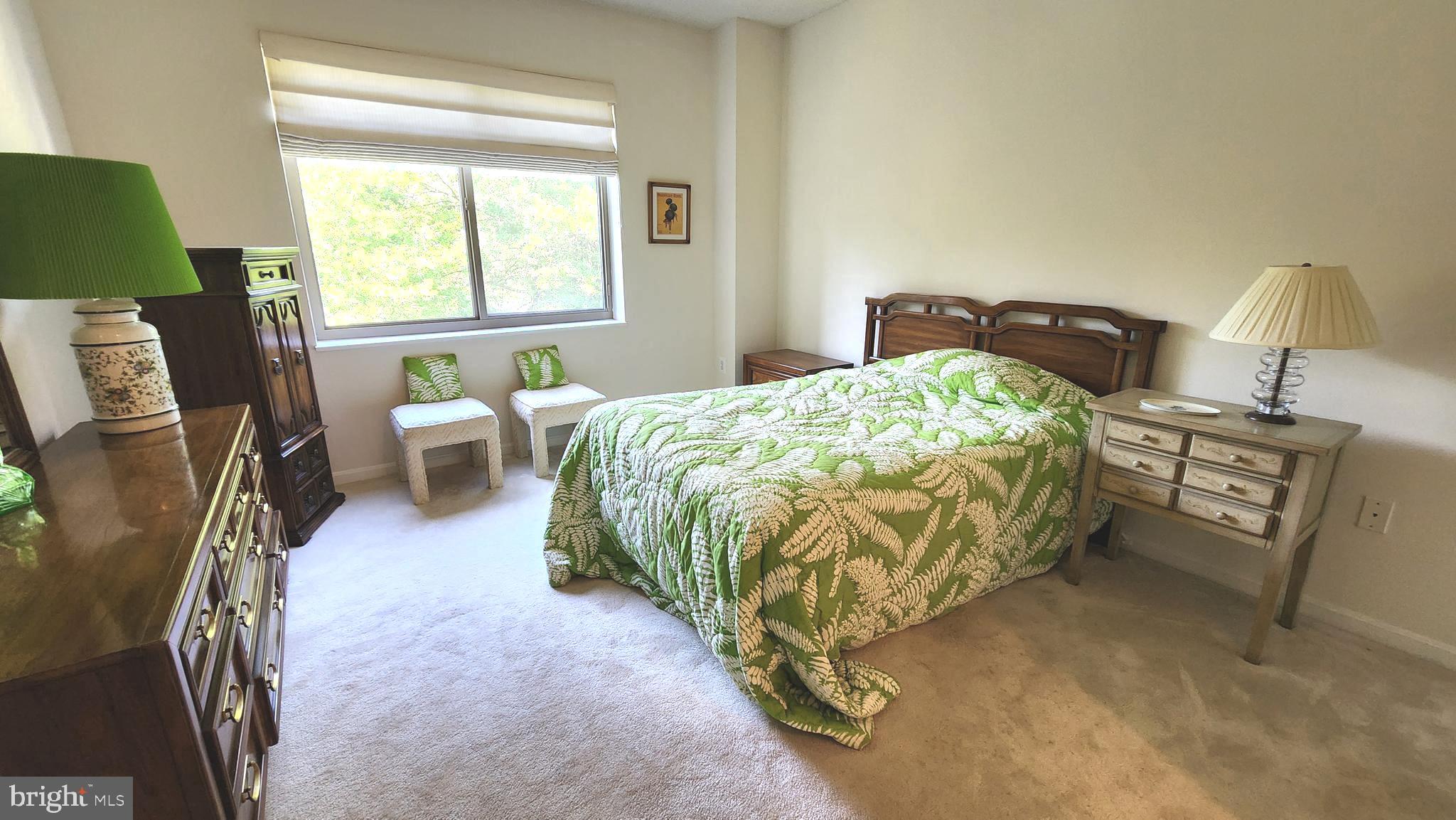 2901 South Leisure World Boulevard, Unit 303 Silver Spring, MD 20906 - Photo 11 of 54 Owner's suite