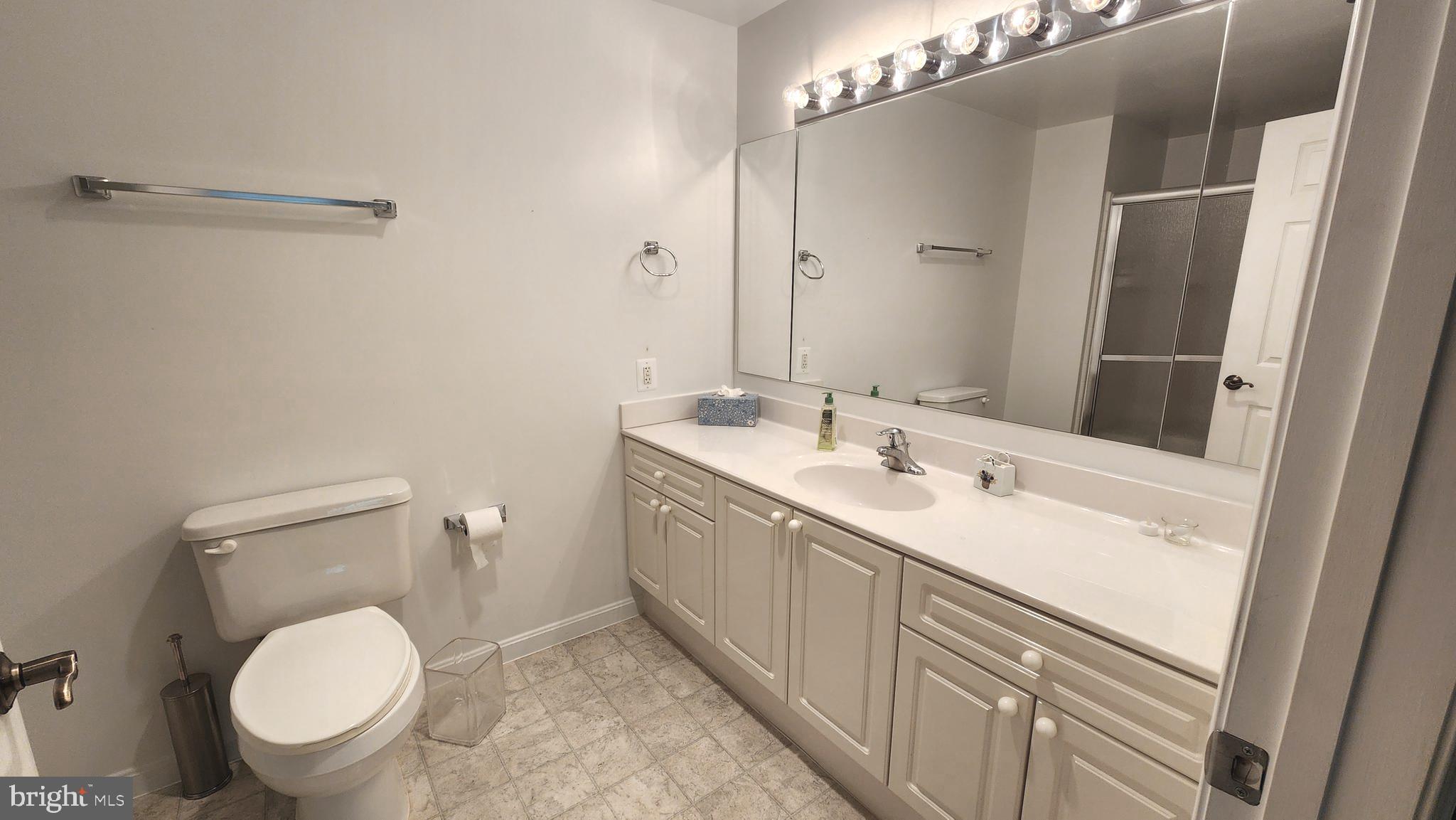 2901 South Leisure World Boulevard, Unit 303 Silver Spring, MD 20906 - Photo 13 of 54 Primary full bath vanity