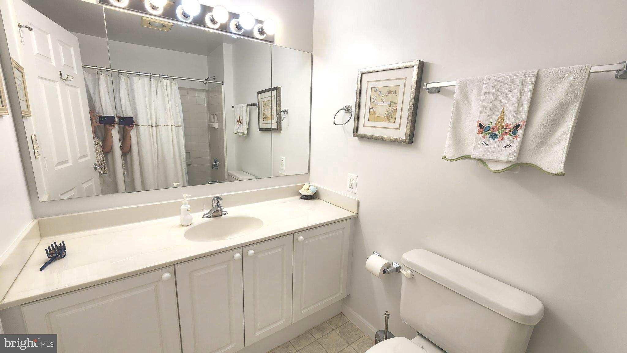 2901 South Leisure World Boulevard, Unit 303 Silver Spring, MD 20906 - Photo 17 of 54 Large vanity