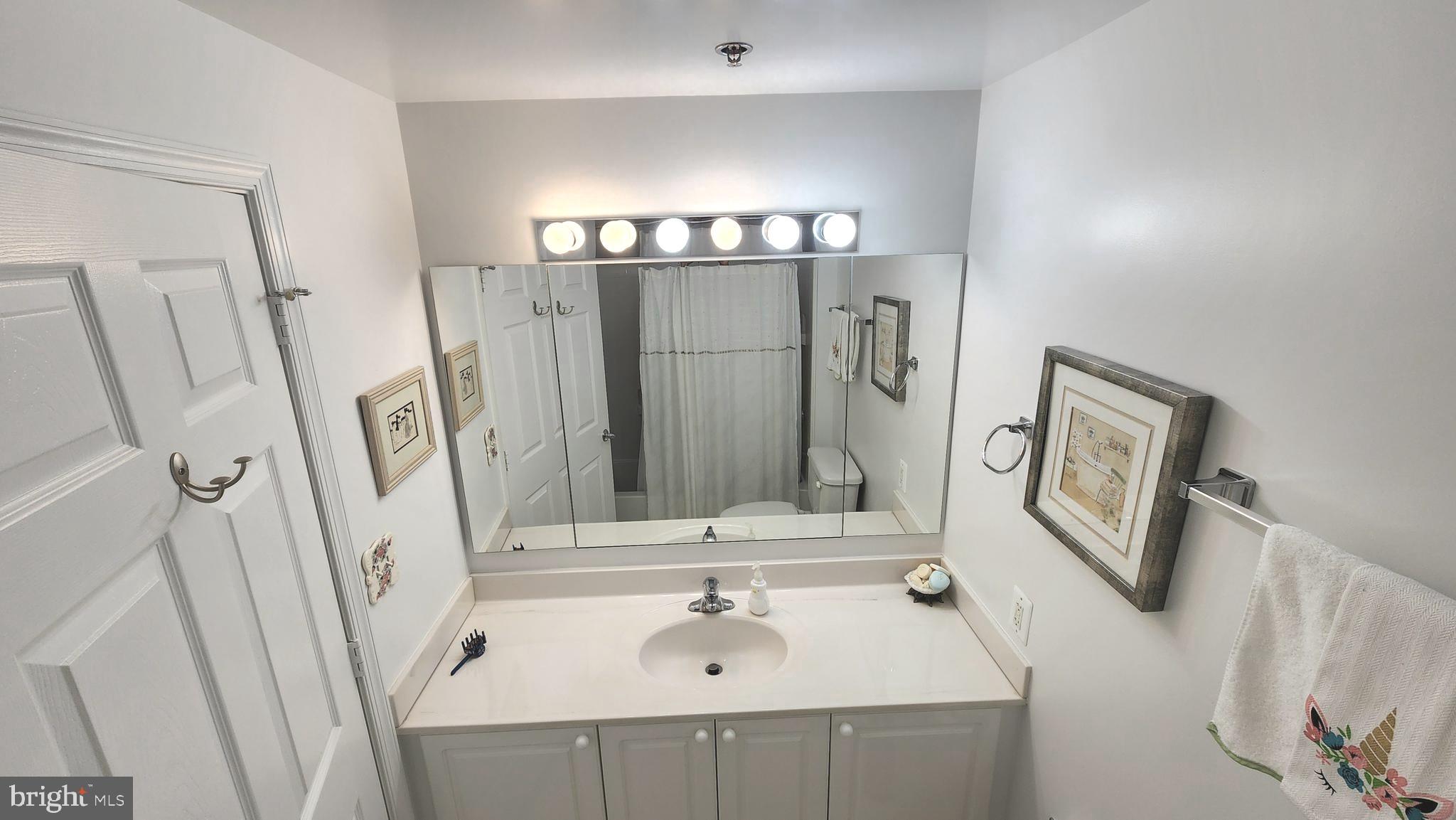 2901 South Leisure World Boulevard, Unit 303 Silver Spring, MD 20906 - Photo 19 of 54 2nd full bath vanity