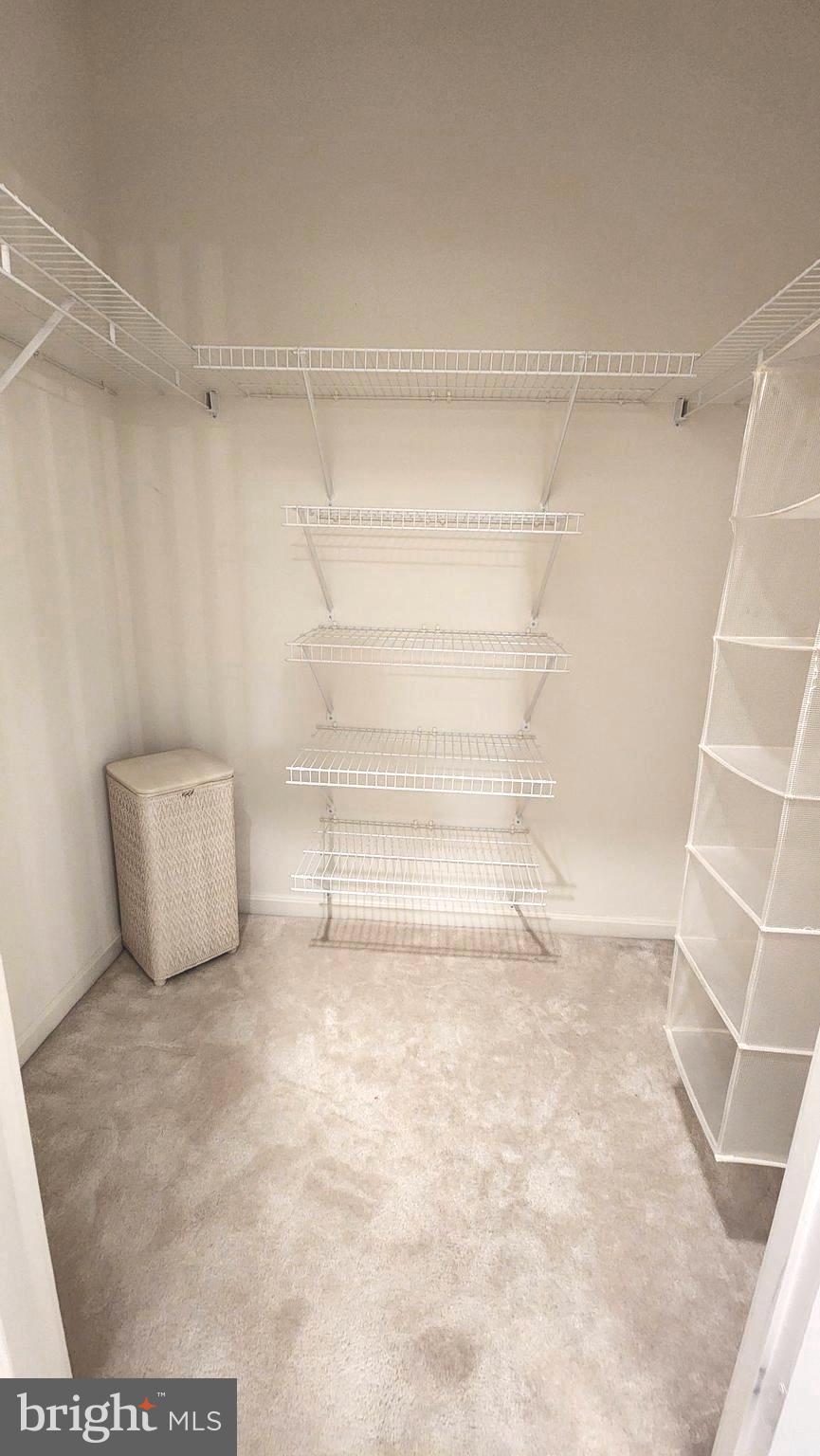 2901 South Leisure World Boulevard, Unit 303 Silver Spring, MD 20906 - Photo 25 of 54 Walk-in closet