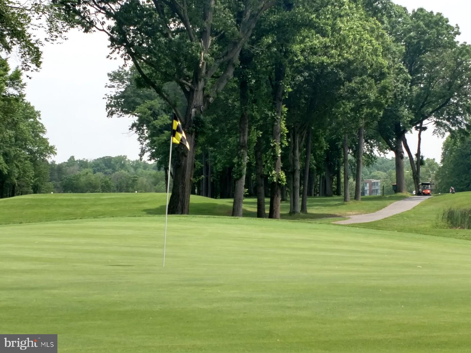 2901 South Leisure World Boulevard, Unit 303 Silver Spring, MD 20906 - Photo 34 of 54 Golf course