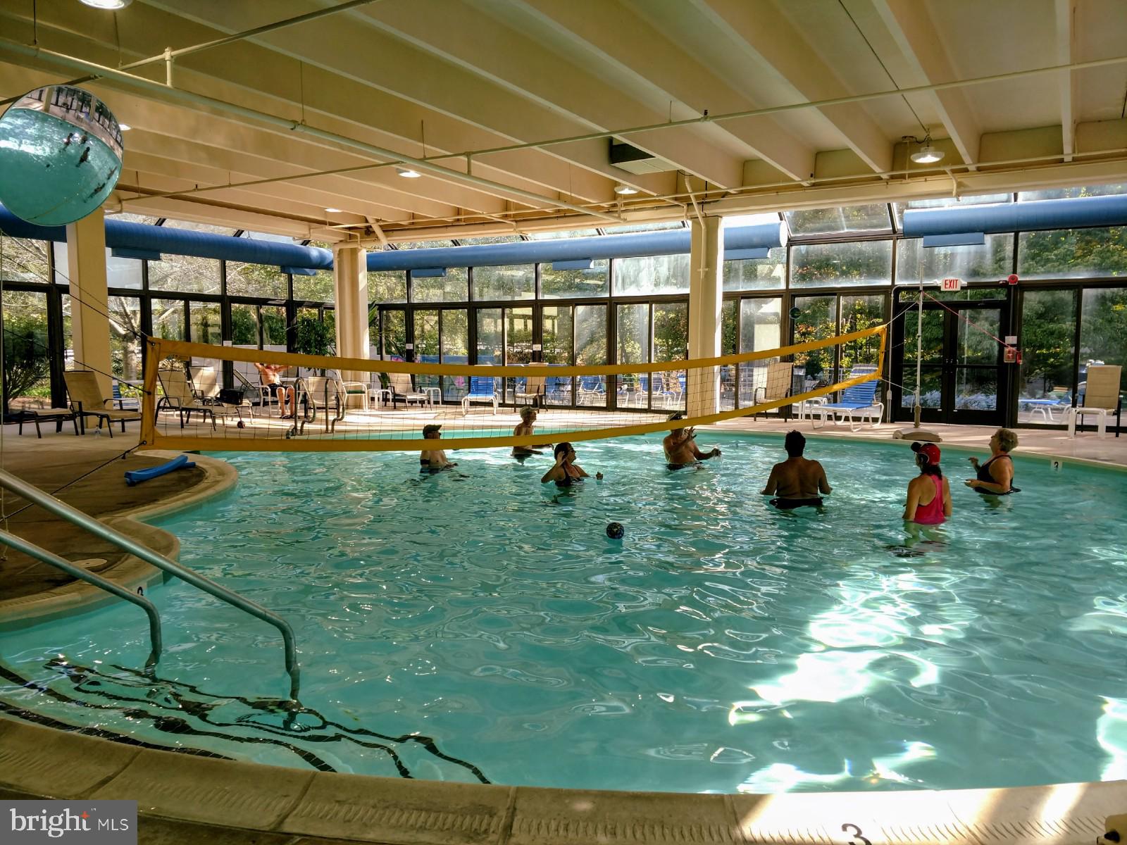 2901 South Leisure World Boulevard, Unit 303 Silver Spring, MD 20906 - Photo 37 of 54 Indoor recreational pool