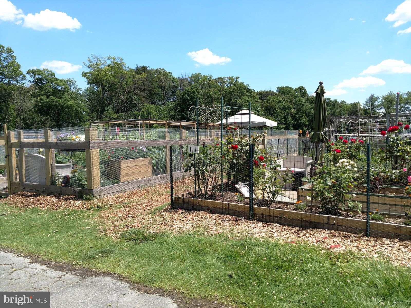 2901 South Leisure World Boulevard, Unit 303 Silver Spring, MD 20906 - Photo 40 of 54 Resident gardens