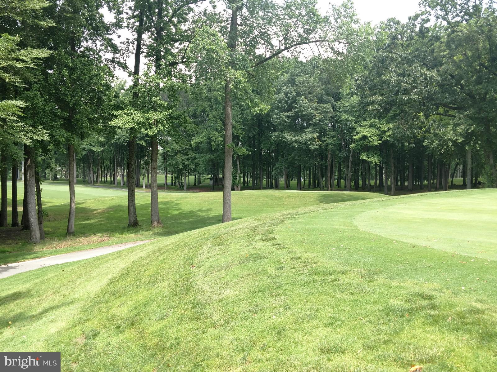 2901 South Leisure World Boulevard, Unit 303 Silver Spring, MD 20906 - Photo 42 of 54 Golf green