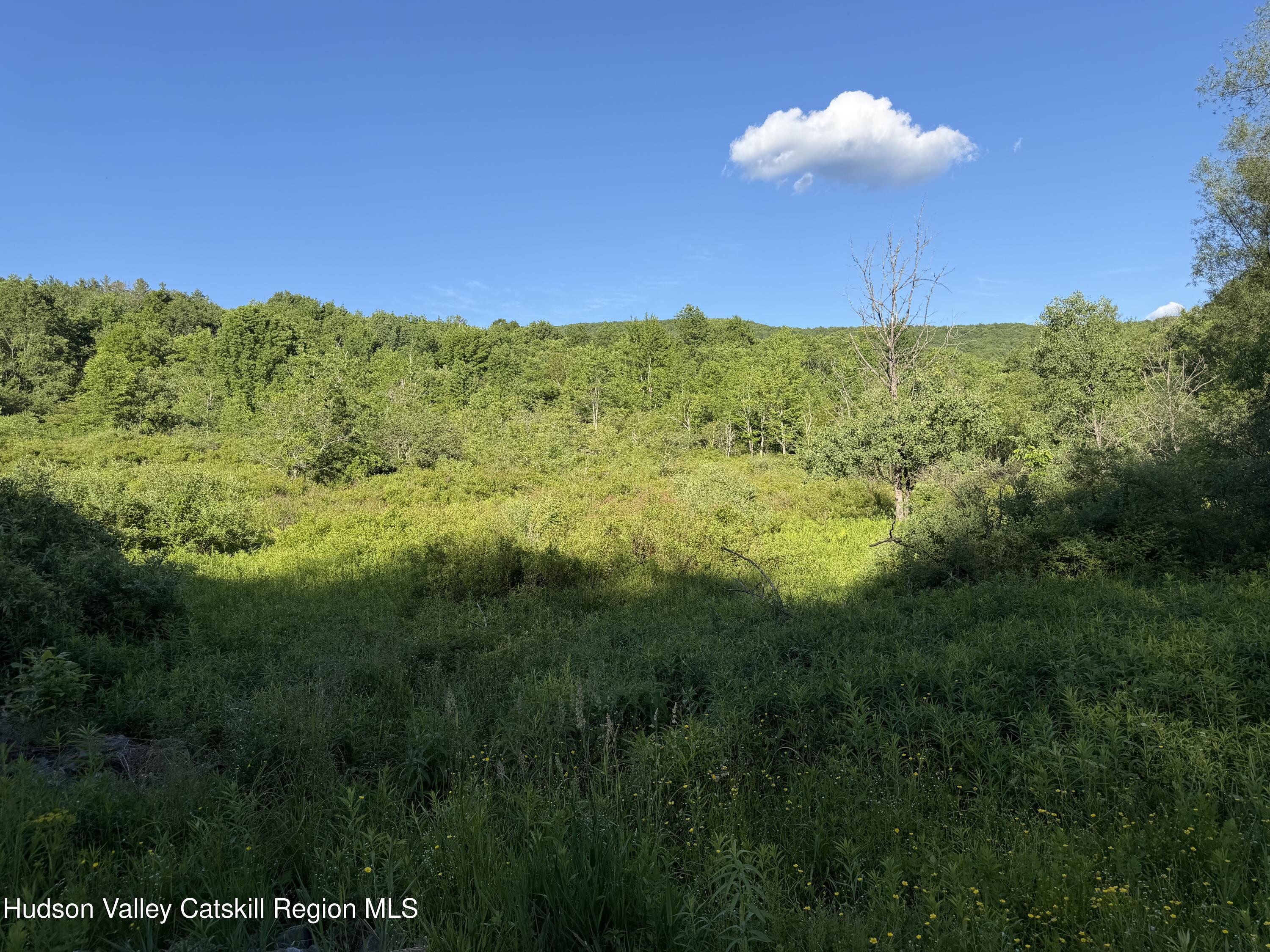 3012 Red Kill Road Fleischmanns, NY 12430 - Photo 2 of 15 IMG_9355