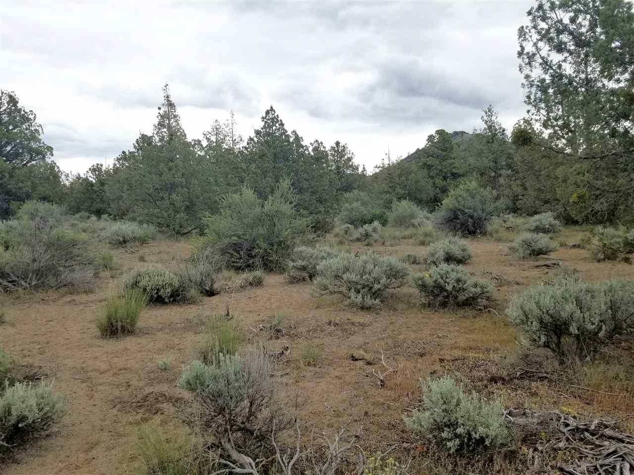 13 Mclarty Road Montague, CA 96064 - Photo 3 of 15 Gallery Image 3