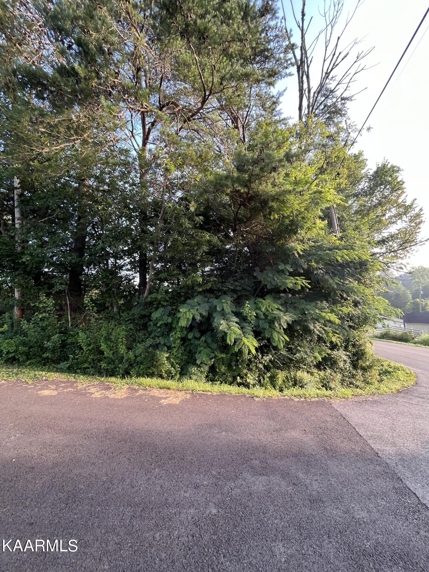1207 Smith School Road Kodak, TN 37764 - Photo 8 of 13 SS 7