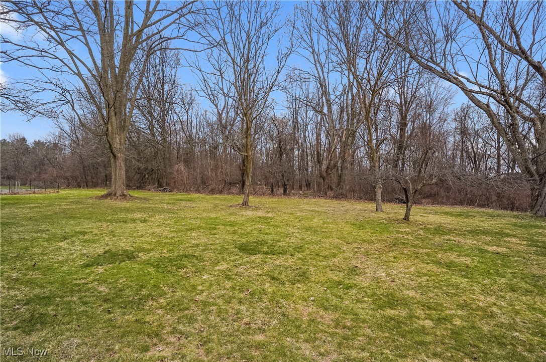 33825 Cannon Road Solon, OH 44139 - Photo 10 of 44 View of yard
