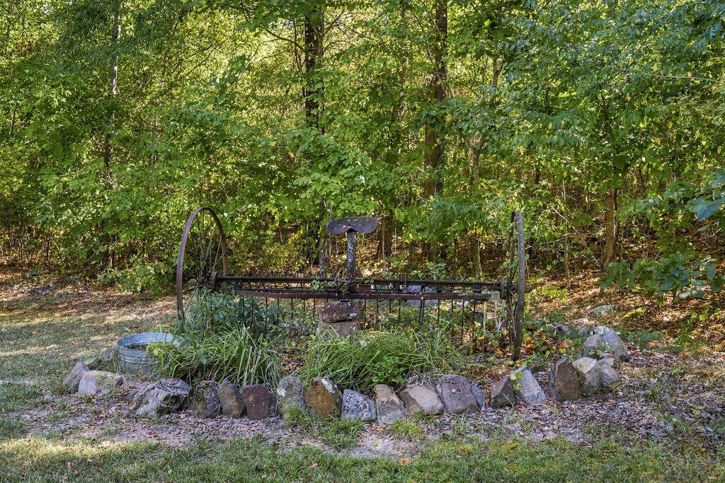 1254 Mahan Road Summerville, GA 30747 - Photo 13 of 50 Yard Fixture