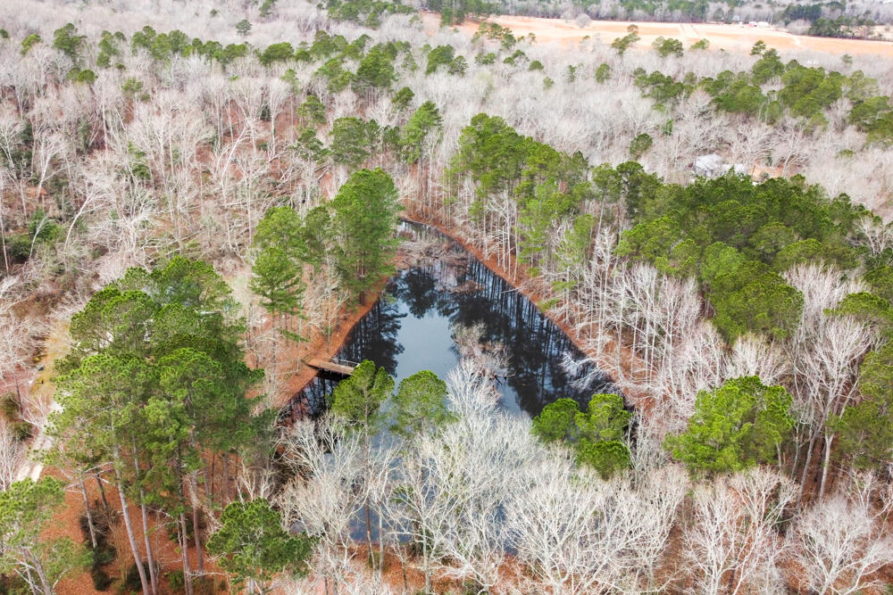 4061 Smokey Road Hephzibah, GA 30815 - Photo 28 of 31 Waterfront!