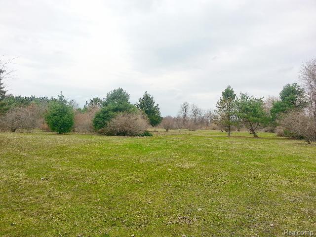 8907 Marr Road Almont, MI 48003 - Photo 22 of 27 #21 back 3.jpg