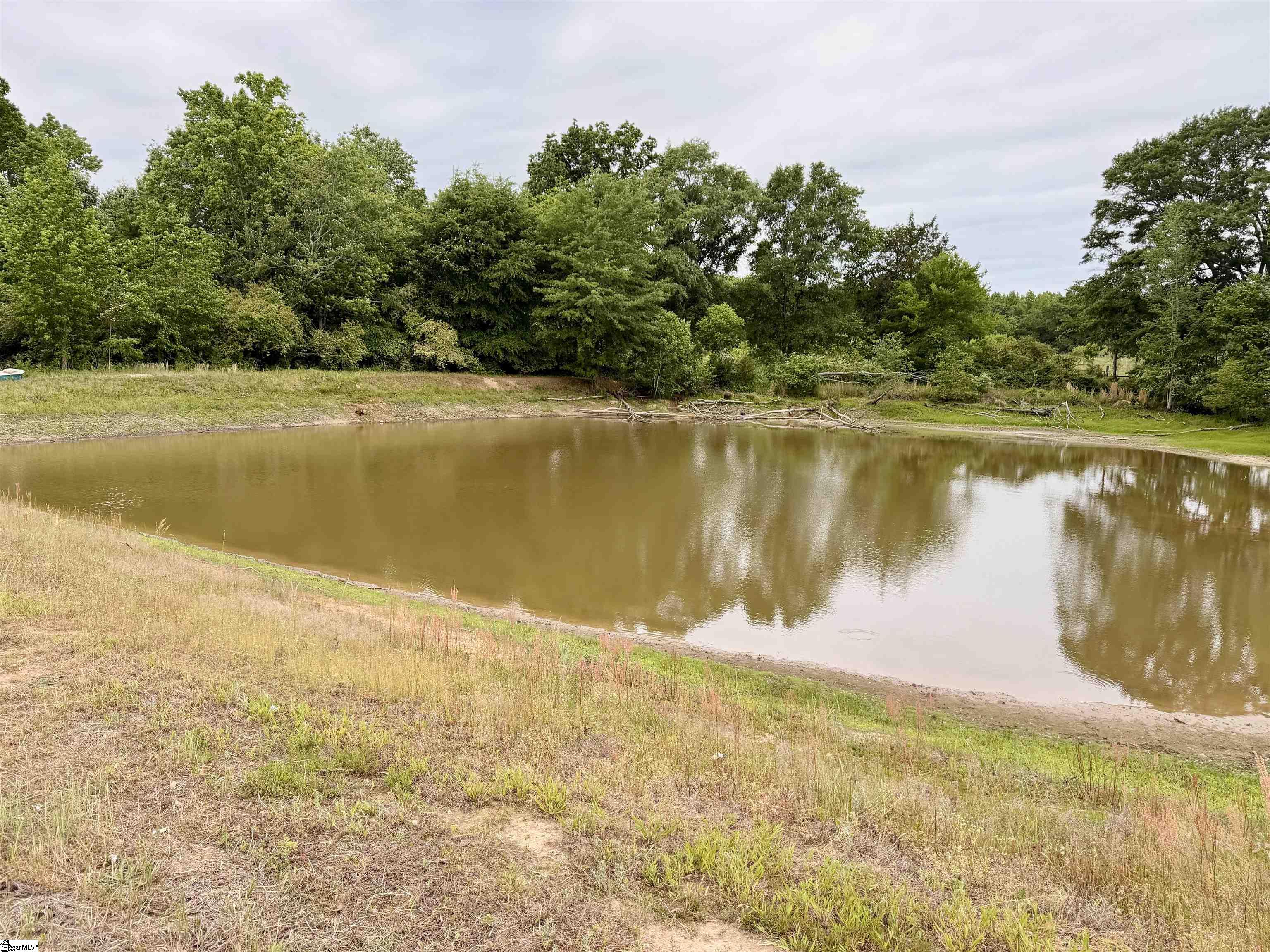 751 Easley Highway Pelzer, SC 29669 - Photo 3 of 12