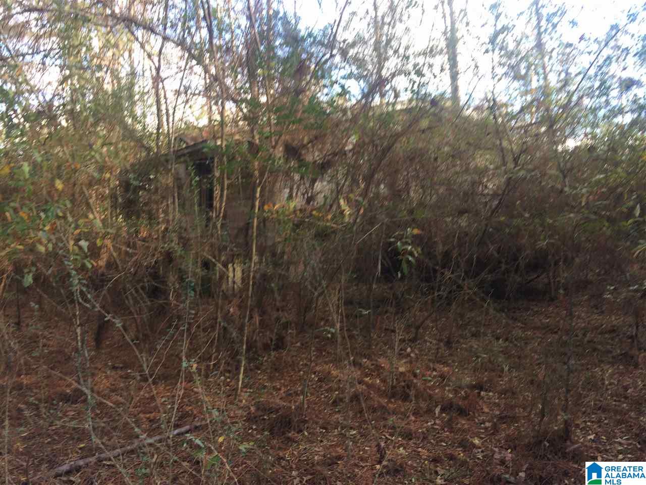 0 Booger Hollow Road, Unit 1 Dadeville, AL 36853 - Photo 3 of 3